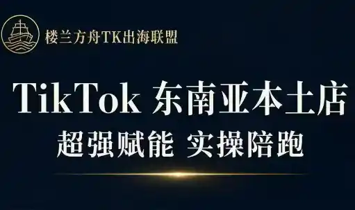 三叔·TikTok东南亚本土店实操(更新8月)-云网创