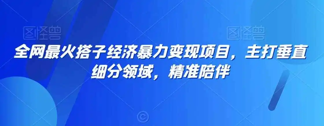 全网最火搭子经济暴力变现项目,主打垂直细分领域,精准陪伴【揭秘】-云网创