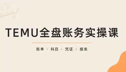 TEMU全盘账务实操课:账单导出、科目设置、利润核算-云网创