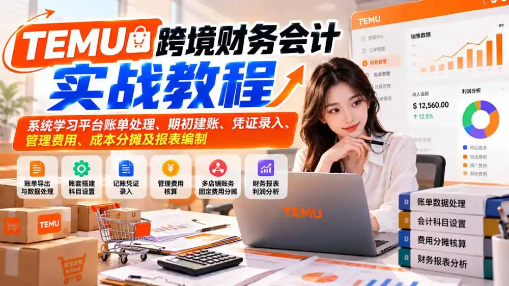 TEMU跨境财务会计实战教程：系统学习平台账单处理、期初建账、凭证录入、管理费用、成本分摊及报表编制-云网创