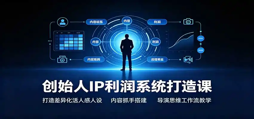 创始人IP利润系统打造课:打造差异化活人感人设,内容抓手搭建,导演思维工作流教学-云网创