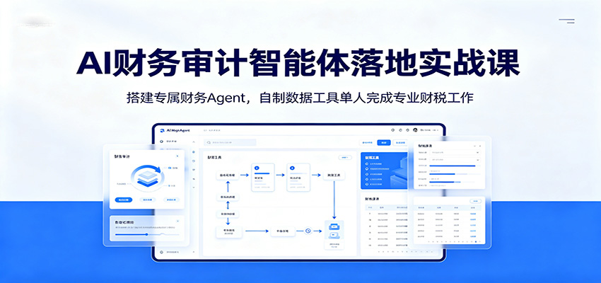 AI财务审计智能体落地实战课：搭建专属财务Agent，自制数据工具单人完成专业财税工作-云网创