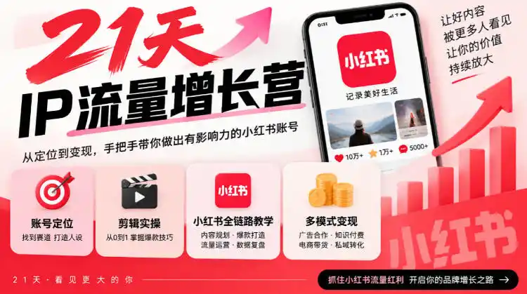 21天IP流量增长营，小红书全链路教学，账号定位剪辑实操，多模式变现系统课-云网创