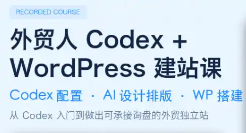 大卫·外贸人Codex + WordPress建站课(更新8月)-云网创