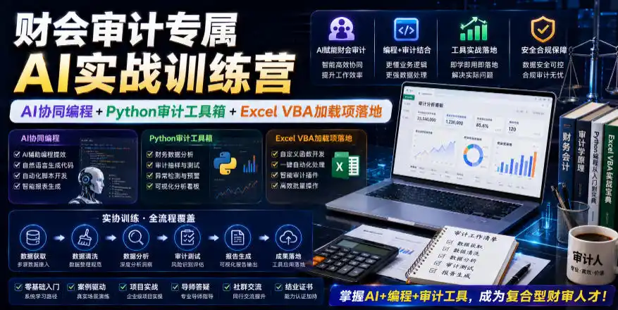 财会审计专属AI实战训练营｜AI协同编程+Python审计工具箱+Excel VBA加载项落地(更新0816)-云网创