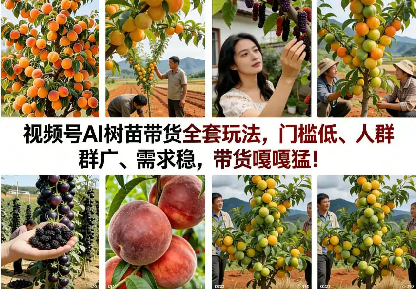 视频号AI树苗带货全套玩法，门槛低、人群广、需求稳，带货嘎嘎猛！(更新1014)-云网创