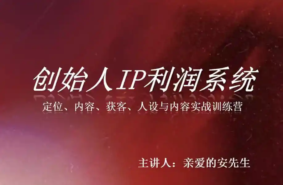 创始人IP利润系统8月训练营，定位、内容、获客、人设与内容实战训练营-云网创