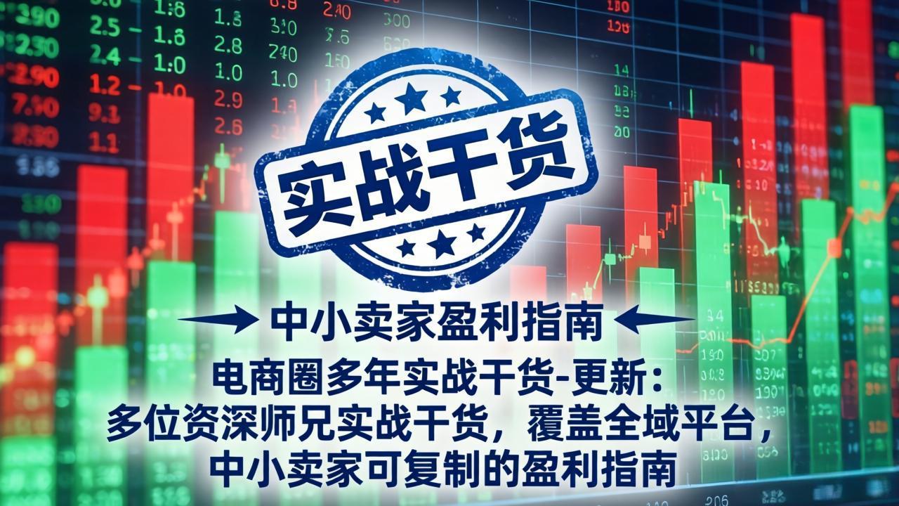 电商圈多年实战干货-更新2026：多位资深师兄实战干货/覆盖全域平台，中小卖家可复制的盈利指南-云网创