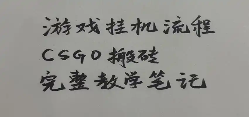 游戏挂机全流程笔记分享,CSGO游戏搬砖,小白看了当天学会见收益-云网创
