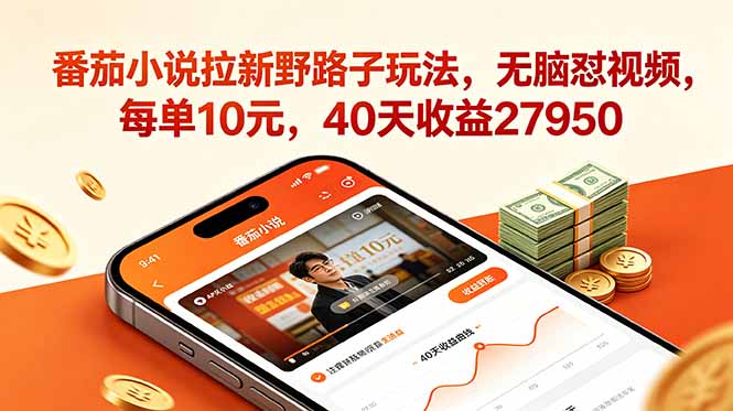 番茄小说拉新野路子玩法，无脑怼视频，每单10元，40天收益27950-云网创