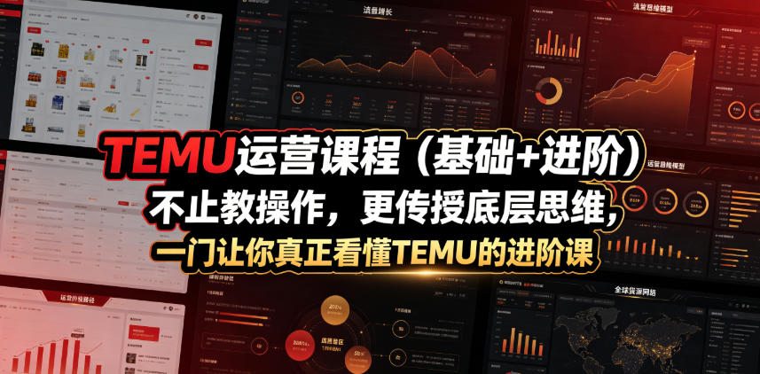 TEMU运营课程(基础+进阶)，不止教操作，更传授底层思维，一门让你真正看懂TEMU的进阶课-云网创