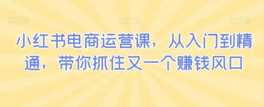 小红书电商运营课,从入门到精通,带你抓住又一个赚钱风口-云网创