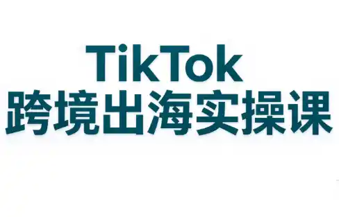 彭老师·TikTok跨境出海实操课-云网创