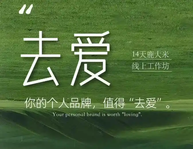去爱14天鹿大米线上工作坊，你的个人品牌，值得“去爱”-云网创