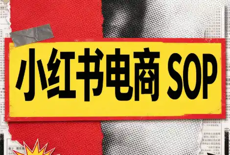 书豪必胜小红书电商sop(更新9月)-云网创