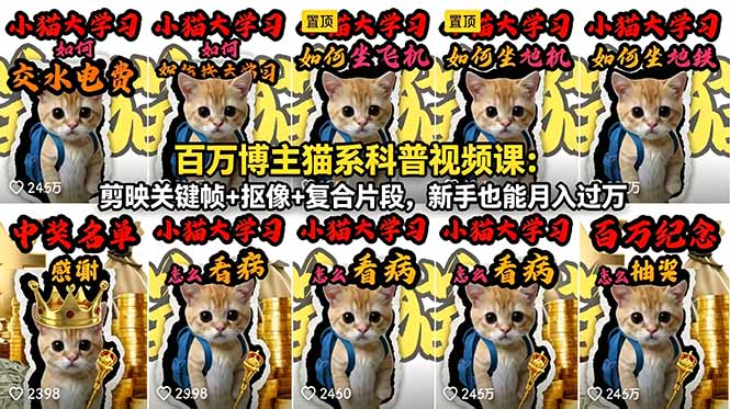 百万博主猫系科普视频课：剪映关键帧+抠像+复合片段，新手也能月入过万-云网创