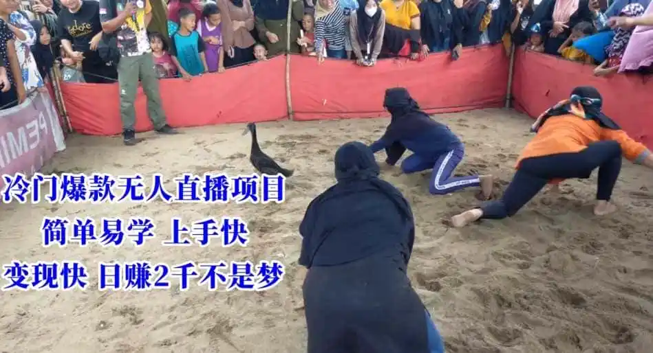 冷门爆款无人直播项目,简单易学上手快,变现快日赚2千不是梦【揭秘】-云网创