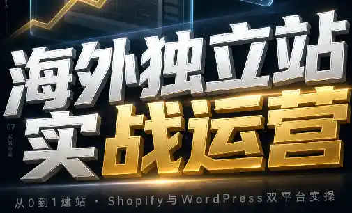 海外独立站实战运营-云网创