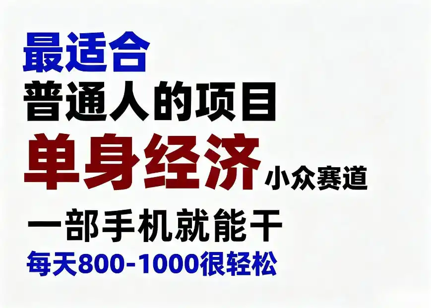 身经济小众赛道,一部手机就能干,每天搞个800-1000很轻松,最适合普通人的项目【揭秘】-云网创