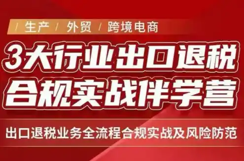 王老师·《生产+外贸+跨境电商企业》出口退税陪跑营-云网创
